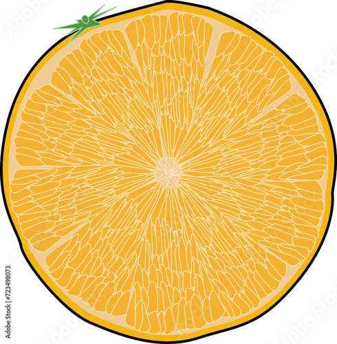 オレンジ（orange）