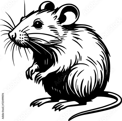 rat cartoon