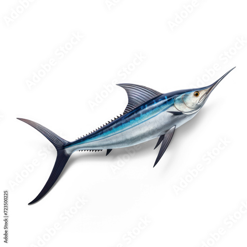  A Swordfish  on transparency background PNG © Sim