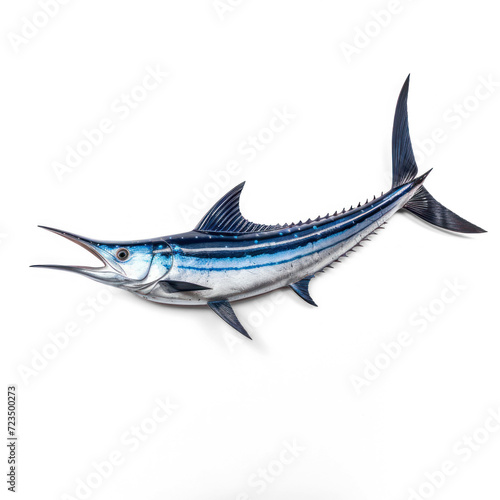  A Swordfish on transparency background PNG