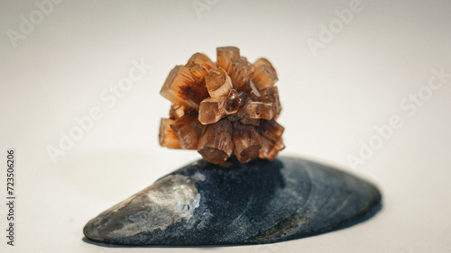 Natural Rough Orange Aragonite Metaphysical Healing Crystal Gemstone Mineral Starburst Cluster Formation Sitting on top of Blue Mussel Shell on Vignette Light Background with Shallow Depth of Field 