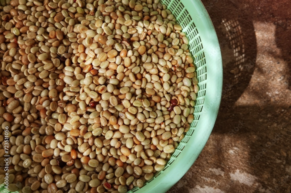 Coffee beans,In the ferment and wash method of wet processing Coffee beans,In the ferment and wash method of wet processing