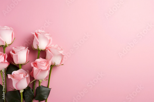 Minimal pink roses and pink background copy space concept © yuniazizah