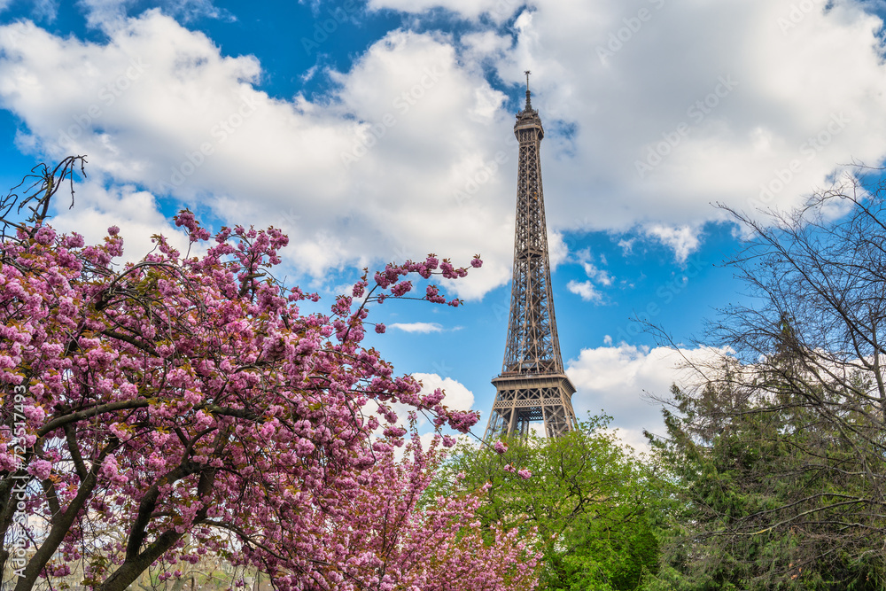 Paris France city skyline at Eiffel Tower with spring cherry blossom flower