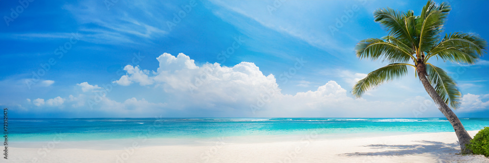 panoramic view of sunny tropical Caribbean beach with palm tree and turquoise water