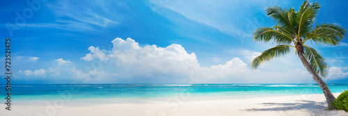 panoramic view of sunny tropical Caribbean beach with palm tree and turquoise water © Mariusz Blach