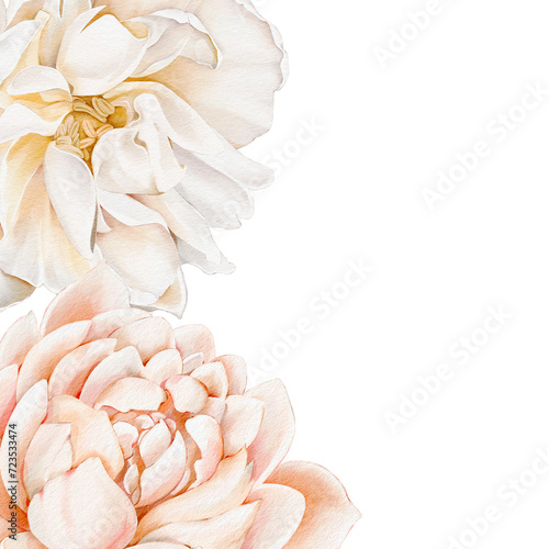Elegant watercolor white peony and pink rose buds. Isolated illustration on white background. Template for cards  invitations  anniversary  greetings