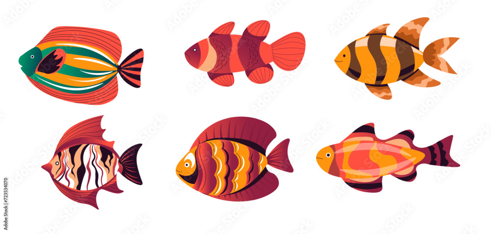 Aquarium dwellers, exotic or tropical fishes set Aquarium dwellers, exotic or tropical fishes set