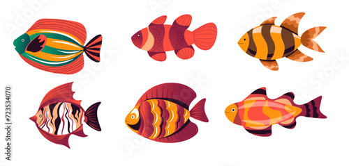 Aquarium dwellers, exotic or tropical fishes set