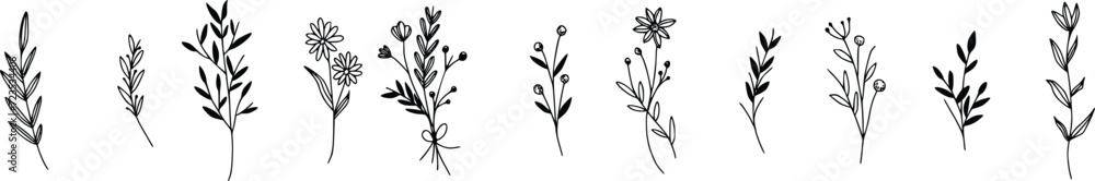 Set of handdrawn floral elements for design