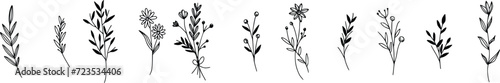 Set of handdrawn floral elements for design photo