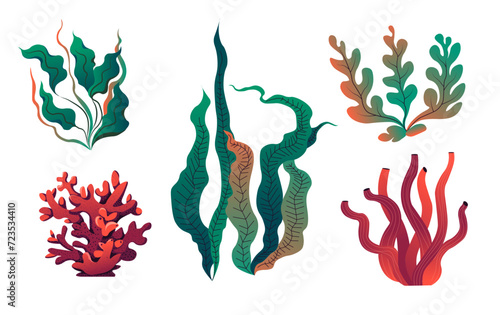 Aquarium seaweeds and decoration flora vector