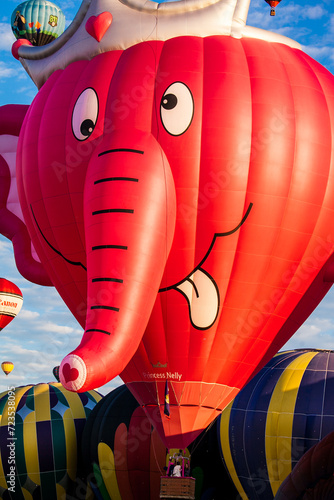 Balloons in the air