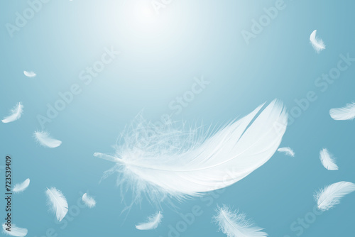 Abstract White Bird Feathers Floating in A Blue Sky. Softness of Feathers falling in Heavenly Concept.
