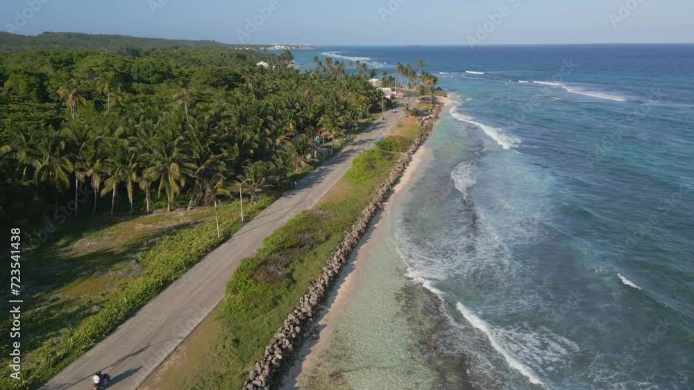 Aerial View of Coastal Road with Palm Trees Aerial View of Coastal Road with Palm Trees