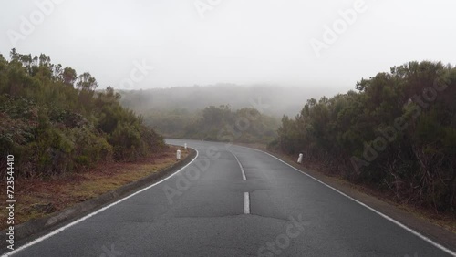 View of a road in the mountains of madeira island during winter, fog covering a section of the road. Road surrounded by laurisilva forest. Steady camera  photo