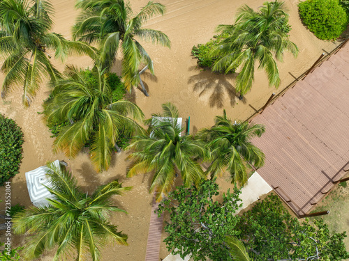 palm trees in the wind
