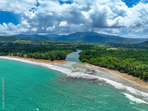 beach and trees