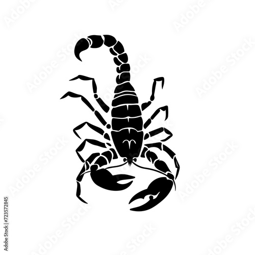 Scorpion Logo Monochrome Design Style © FileSource