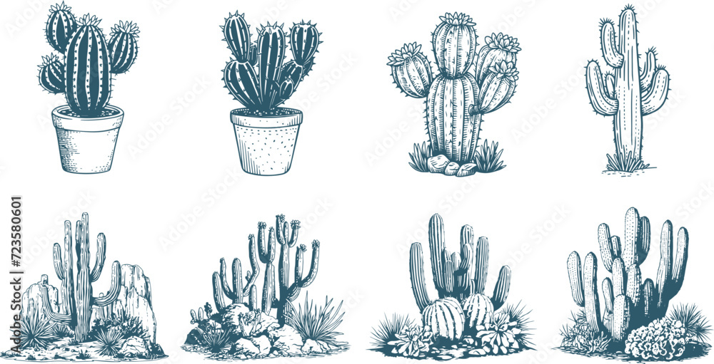 Set of cactus vintage sketch, engraving illustration - obrazy, fototapety, plakaty 