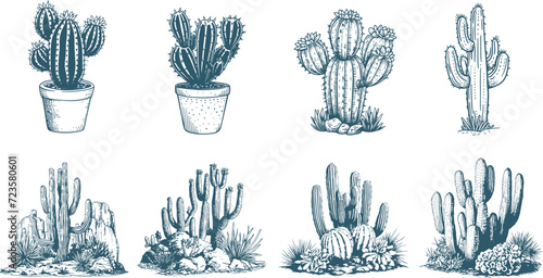 Set of cactus vintage sketch, engraving illustration photo