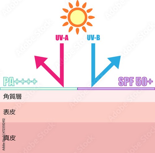 日焼け止めが紫外線から肌を守るイメージイラスト