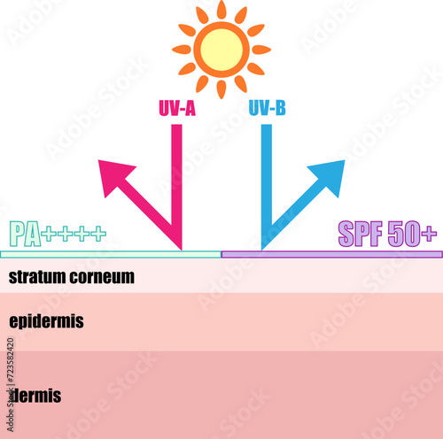 日焼け止めが紫外線から肌を守るイメージイラスト