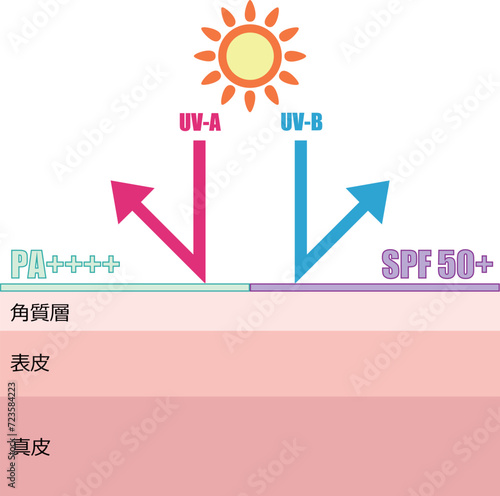 日焼け止めが紫外線から肌を守るイメージイラスト