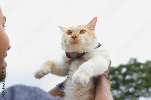 Fototapeta Naklejka Na Ścianę i Meble -  Outdoor portrait of Asian man holding and giving gentle touch to cat, taking care of his pet in nature park. Love relationship between humans and animals.