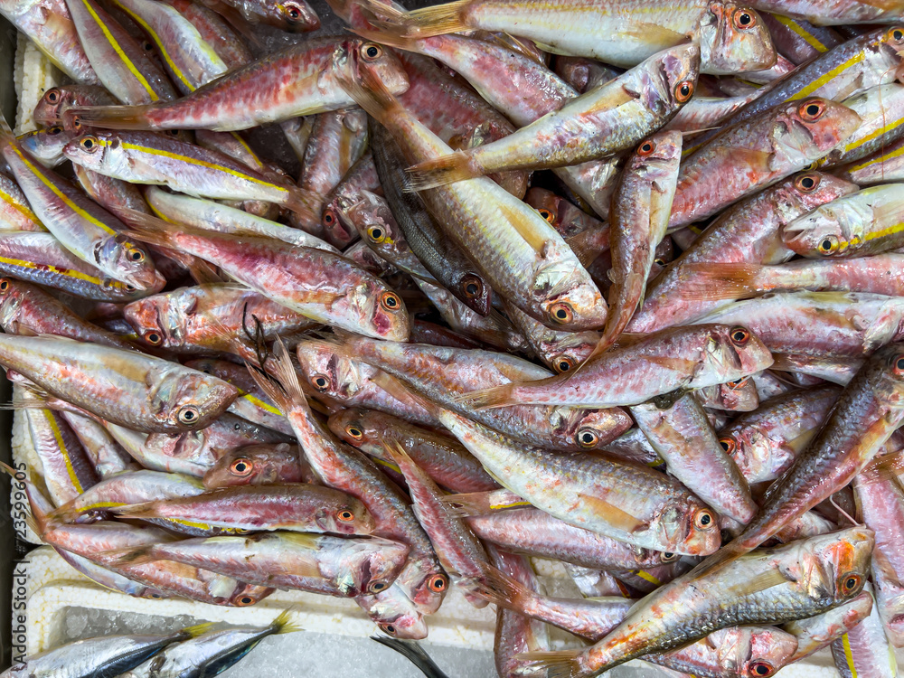 Top view of raw red mullet fish on ice on display at seafood fish market Top view of raw red mullet fish on ice on display at seafood fish market