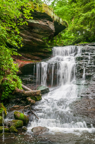 Springfield Falls in Mercer County  PA