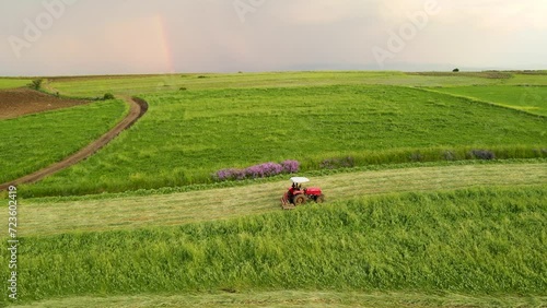 Farmer mowing green vetch with a tractor. Harvesting green clover for animal feed