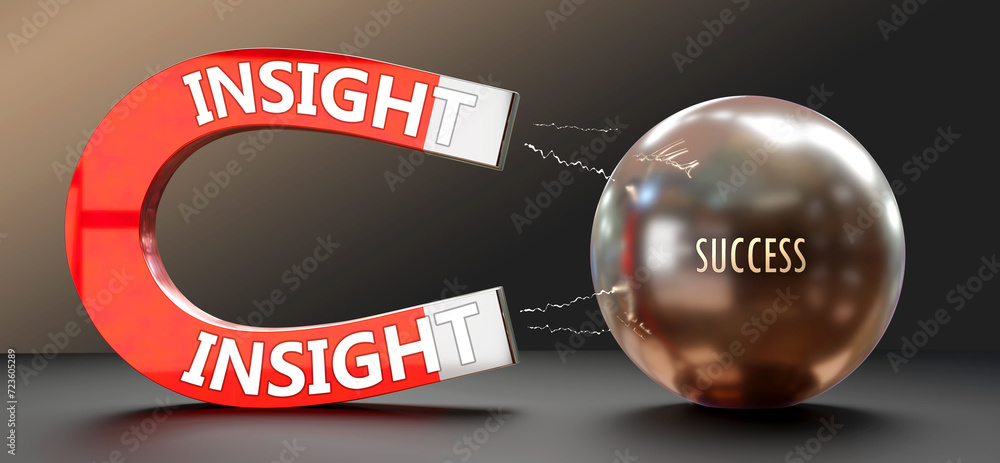 Insight attracts Success A metaphor showing insight as a big magnet Insight attracts Success A metaphor showing insight as a big magnet