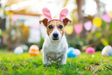 Photo of dog in garden with easter bunny ears and eggs