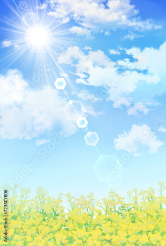 菜の花畑　風景　水彩画　背景素材　春イメージ　野原　お花見　入学　卒業　縦長