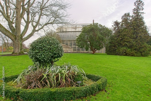 Photography Green garden during winter season at National Botanic Gardens, Dublin, Ireland
