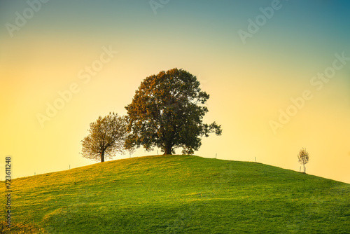 Scenic of sunrise over lonely tree on hill in rural scene