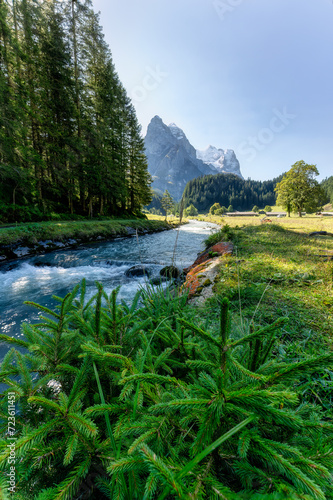Rusenlaui with wellhorn swiss alps and Reichenbach river flowing in summer on sunny day at Switzerland © Mumemories