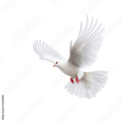 Flying dove on transparency background PNG
