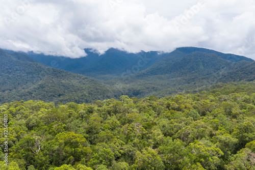 Aerial view of the Borneo rainforest.