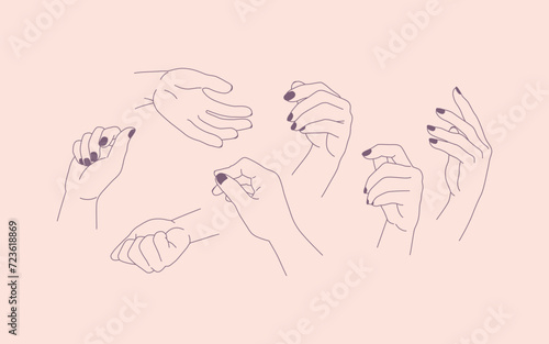 Set of female hands with different gestures. Vector illustration in Lineout Style Collection.