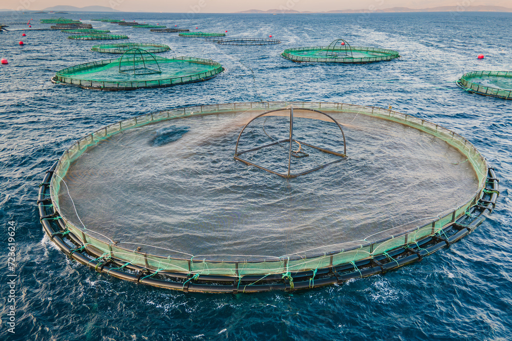 Offshore aquaculture fish farm in sea for cultivation salmon. Aerial wide shot