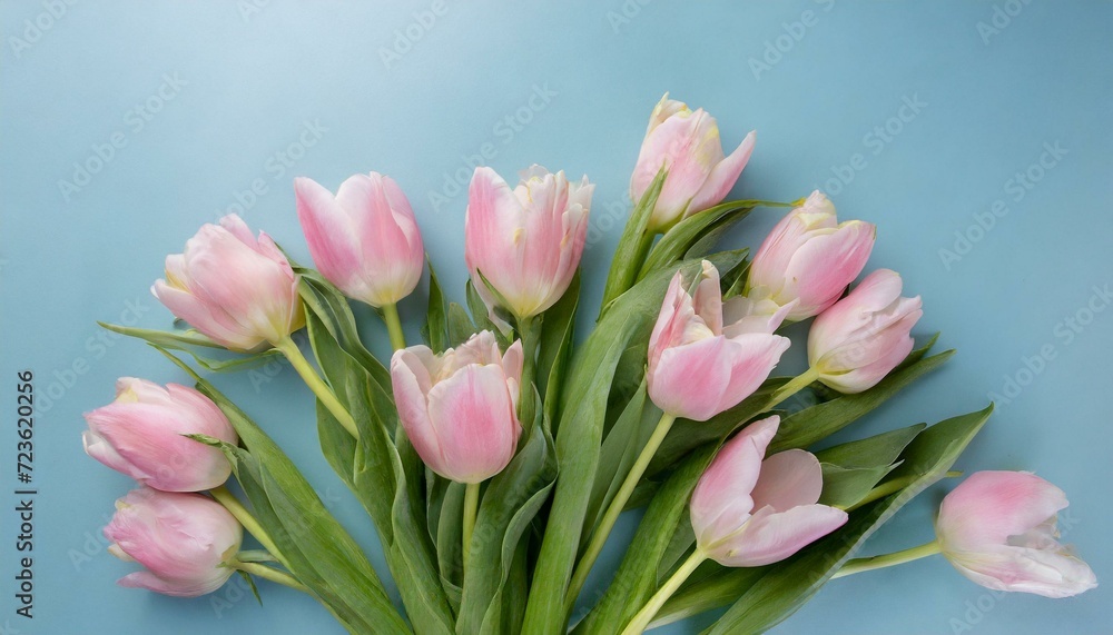 pink tulips.a beautiful arrangement of spring flowers. Arrange a bouquet of delicate pink tulips against a soft pastel blue backdrop, emphasizing the elegance and serenity of the spring season.