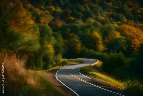 road in autumn forest