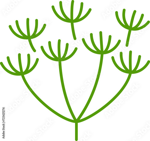 Green dill herb or wild fennel branch seasoning condiment, color outline icon. Vector flavoring spicy food, aroma dill herb