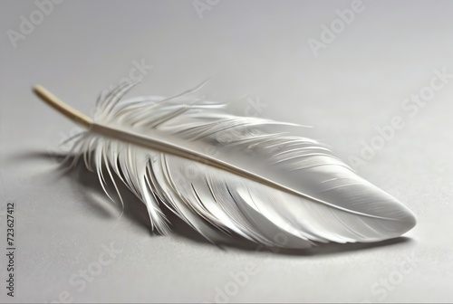 White feather dropped on a white background from Generative AI