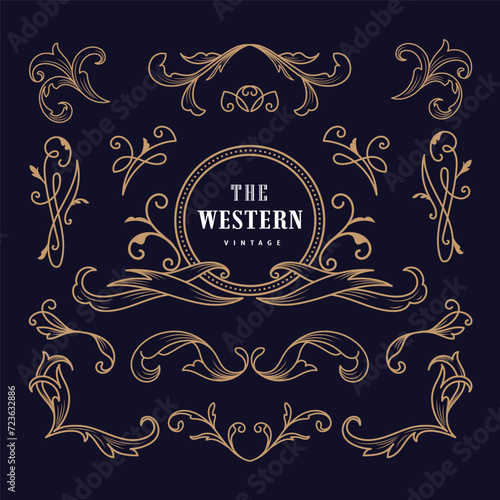 Vintage flourish ornaments baroque frame vector