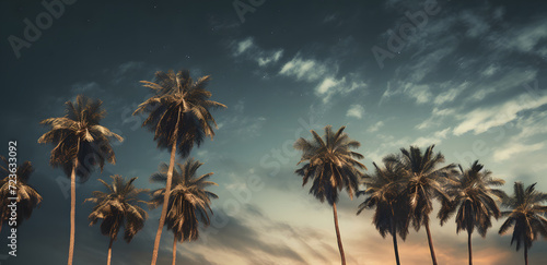 Palm trees on a Mexican beach during summer  create a vacation dadcore vibes. Scene with several palm trees against a weathercore blue horizon  nature-based patterns from a low angle perspective.