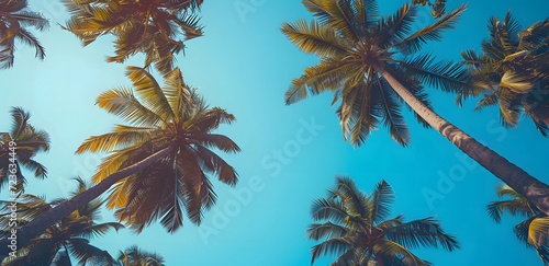 Palm trees on a Mexican beach during summer, create a vacation dadcore vibes. Scene with several palm trees against a weathercore blue horizon, nature-based patterns from a low angle perspective.