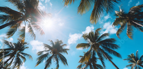 Palm trees on a Mexican beach during summer, create a vacation dadcore vibes. Scene with several palm trees against a weathercore blue horizon, nature-based patterns from a low angle perspective.